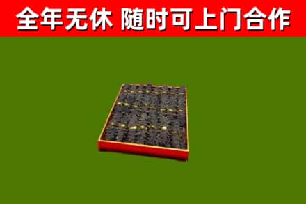 襄汾回收海参